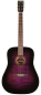 Preview: Anchor Guitars Eagle Flame Purple Burst Ltd.