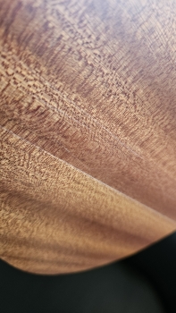 Kremona Ukulele Mari Tenor Demo inkl. Gig Bag