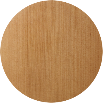 Anchor Guitars Eagle Europe SW CW AE