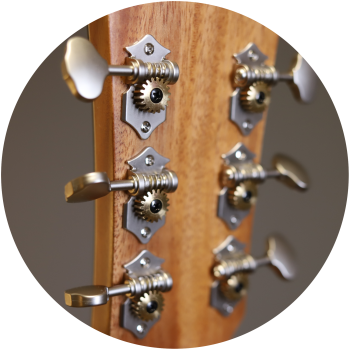 Anchor Guitars Eagle Europe 45 CW AE