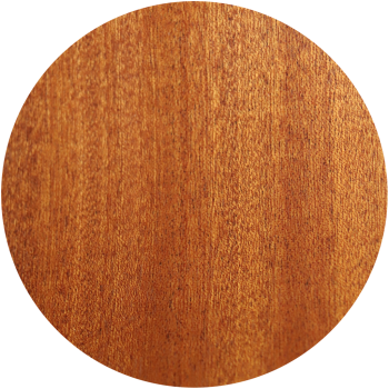 Anchor Guitars Eagle Europe SW CW AE