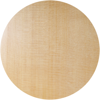 Anchor Guitars Eagle Europe 45 CW AE