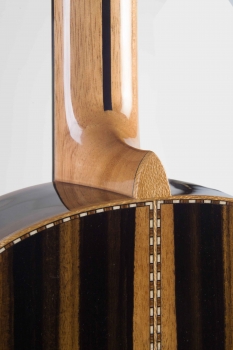 Kremona Luthier Serie Calista Demo mit Kremona DLX Gig Bag