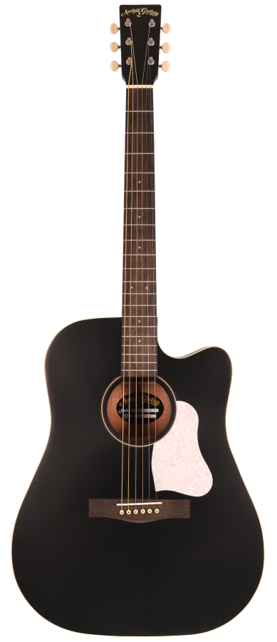 Anchor Guitars Eagle Black Satin CW AE