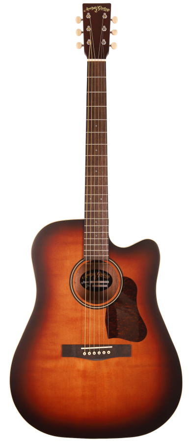 Anchor Guitars Eagle Burst CW AE