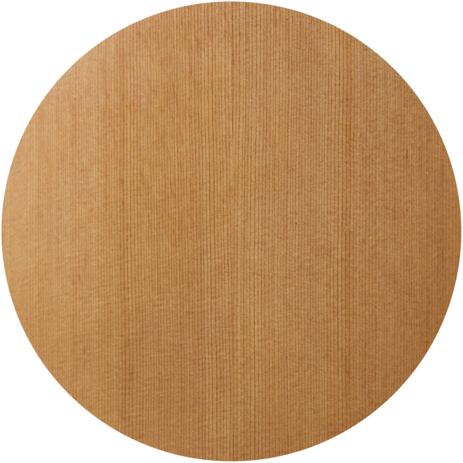 Anchor Guitars Eagle Europe SW CW AE