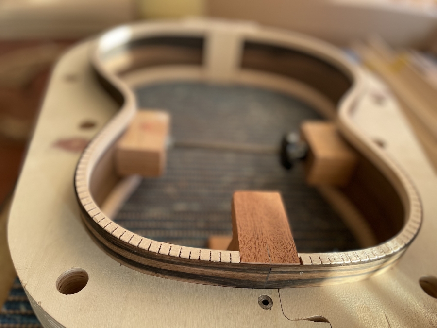 Kremona Luthier Serie Calista Demo mit Kremona DLX Gig Bag