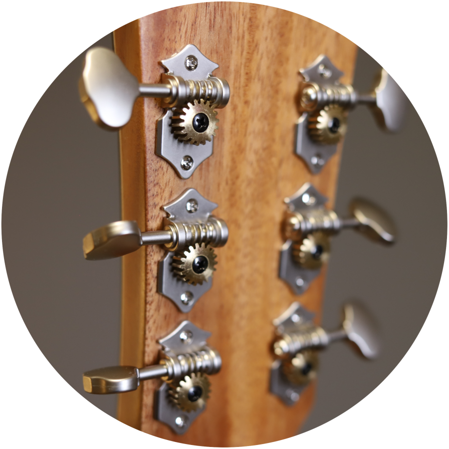 Anchor Guitars Eagle Europe 45 CW AE