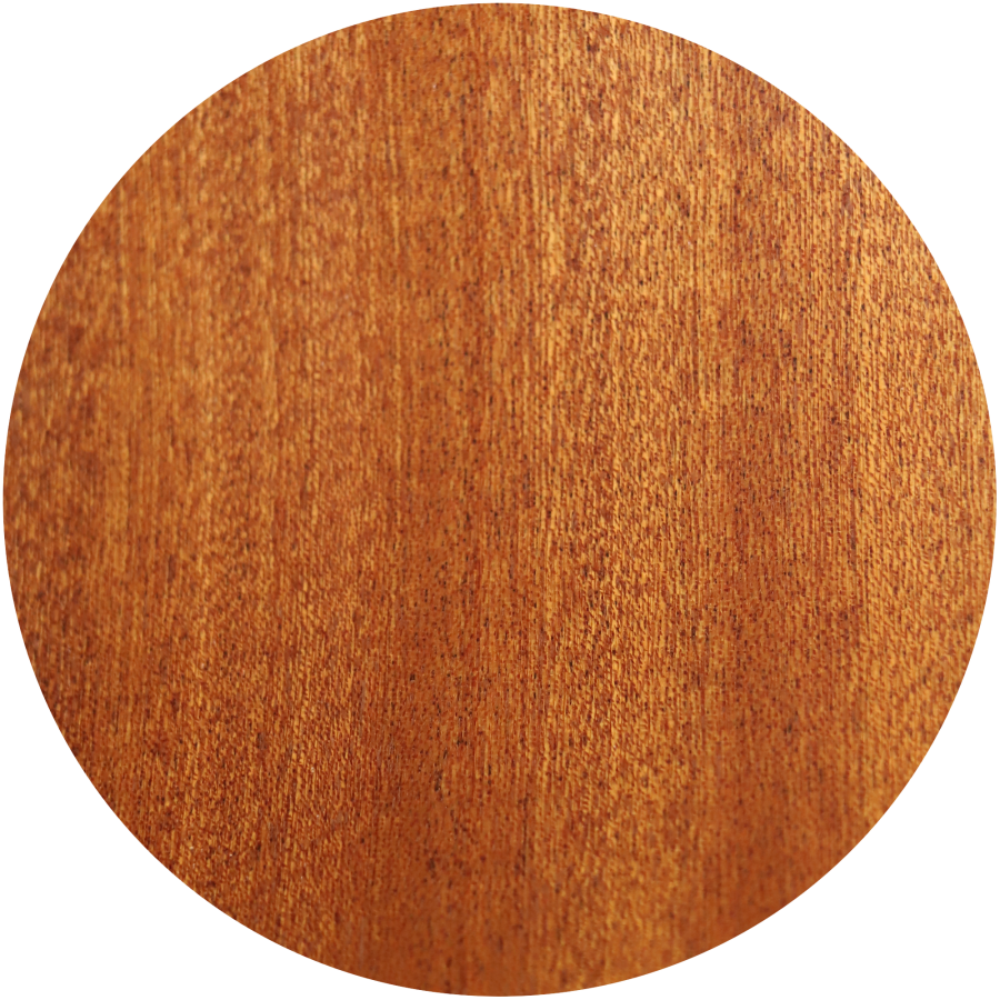 Anchor Guitars Eagle Europe 45 CW AE