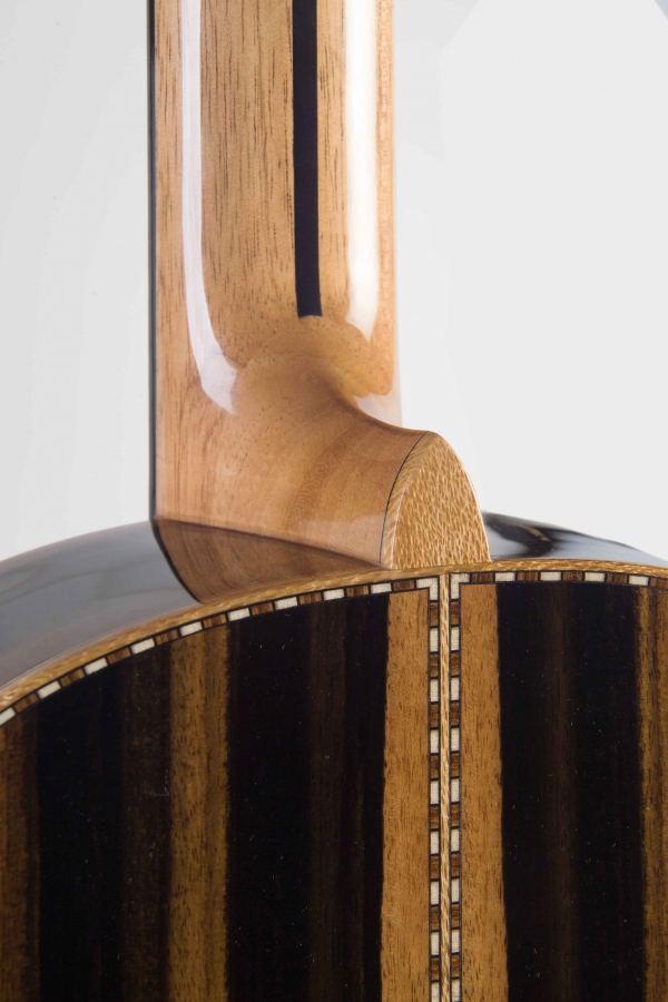 Kremona Luthier Serie Calista Demo mit Kremona DLX Gig Bag