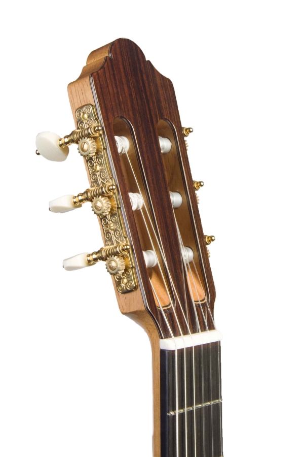 Kremona Luthier Serie Calista Demo mit Kremona DLX Gig Bag